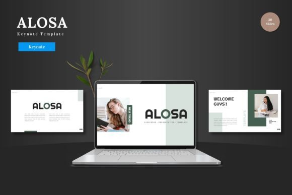 Alosa - Keynote Template: Crafting a Cohesive Visual Story