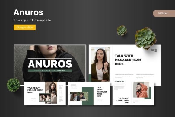 Anuros: Crafting Cohesive Presentations with a Modern Template