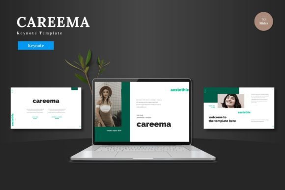 Careema - Keynote Template: A Designer's Tool for Visual Consistency
