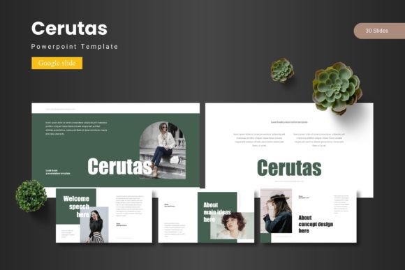 Cerutas: Streamline Your Visual Storytelling
