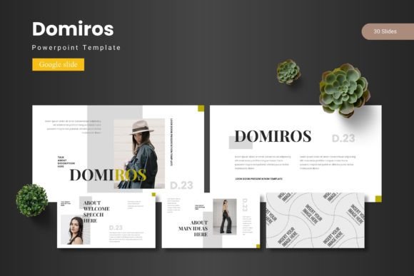 Domiros: Crafting Polished Presentations with a Premium Template