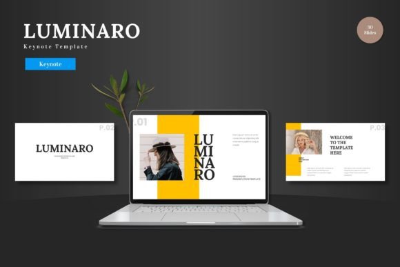 Luminaro: Crafting Polished, Professional Presentations