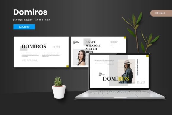 Master Your Next Presentation with Domiros