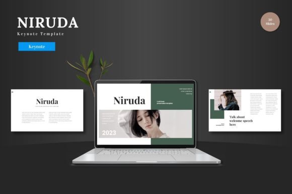 Niruda - Keynote Template: A Visual Framework for Your Next Big Idea