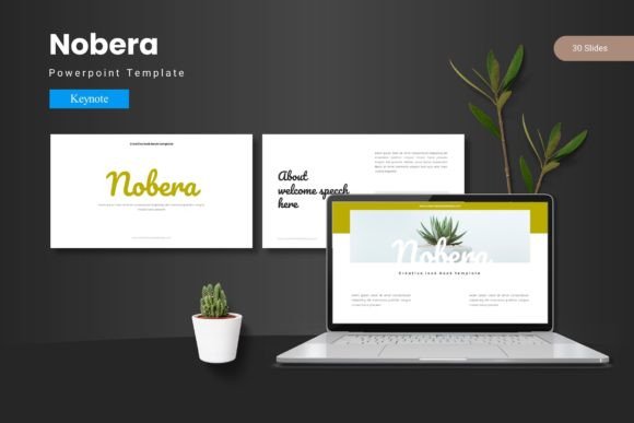 Nobera: The Keynote Template for Polished, Professional Presentations