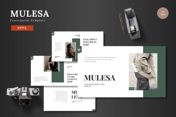 Transform Your Presentations with Mulesa: A Complete Template Guide